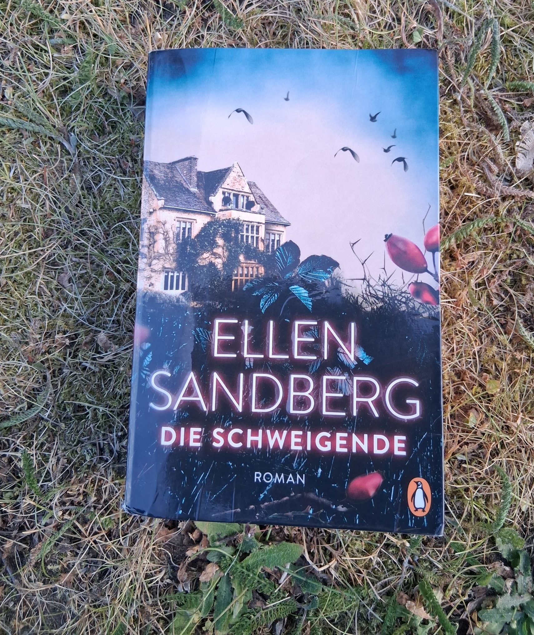 Buchcover: Die Schweigende