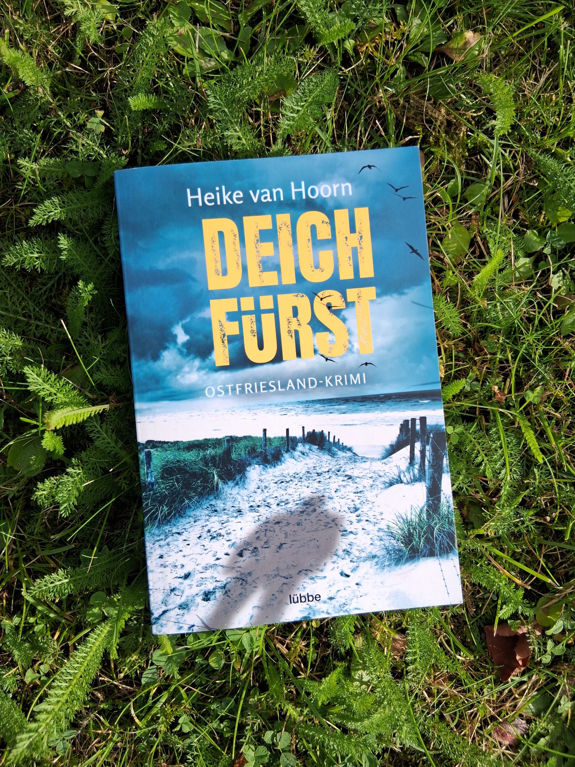 Buchcover: Deichfürst