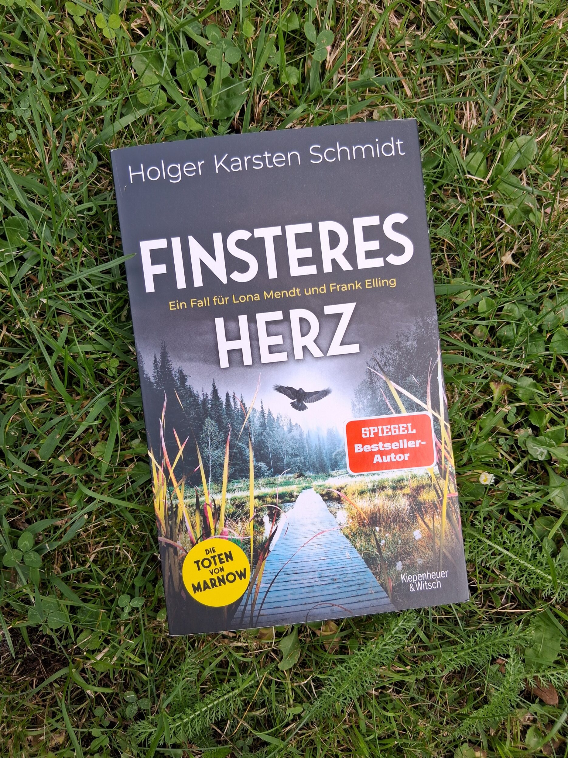 Cover des Buches Finteres Herz