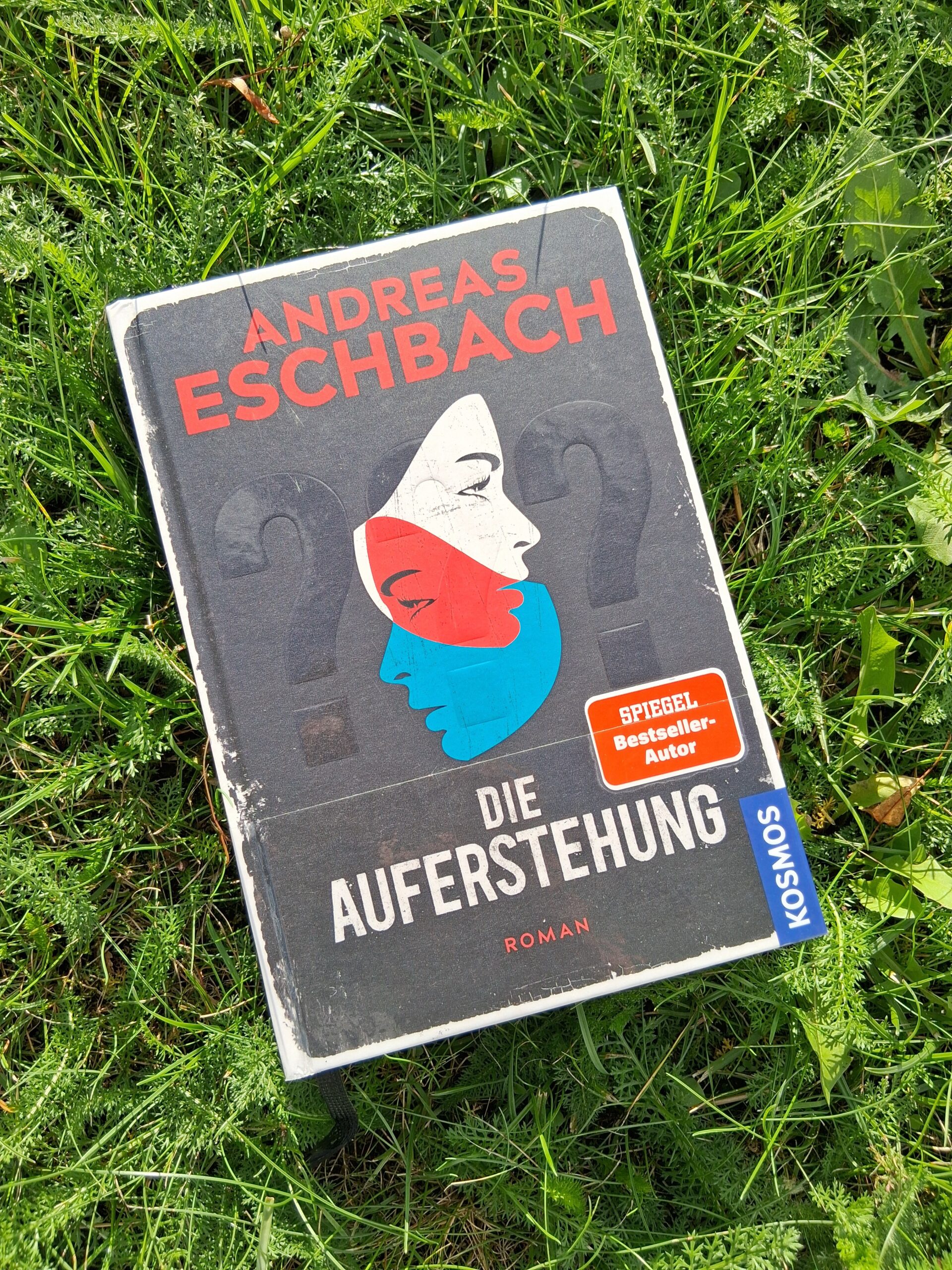 Buchcover: Die Auferstehung