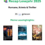Beitragsbild Recap Lesejahr 2025. Es wird angezeigt das 35 Bücher gelesen wurden.