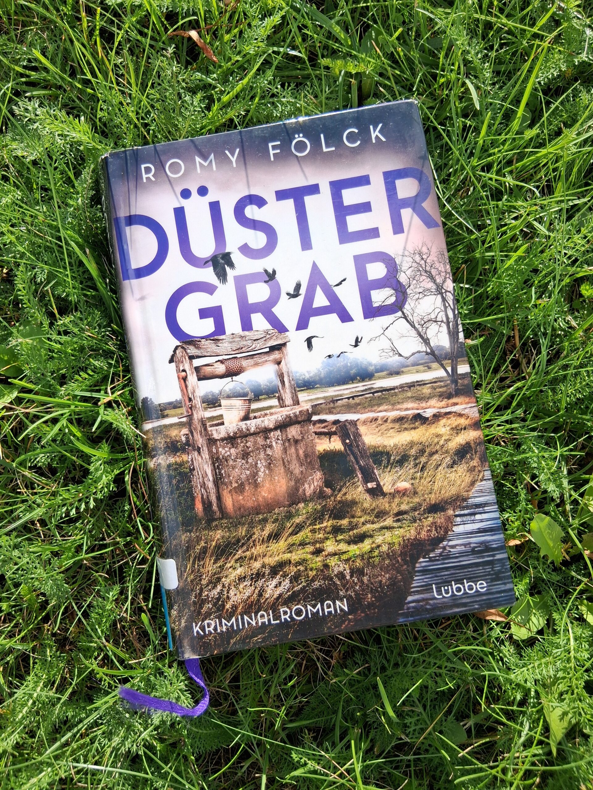 Buchcover: Düstergrab