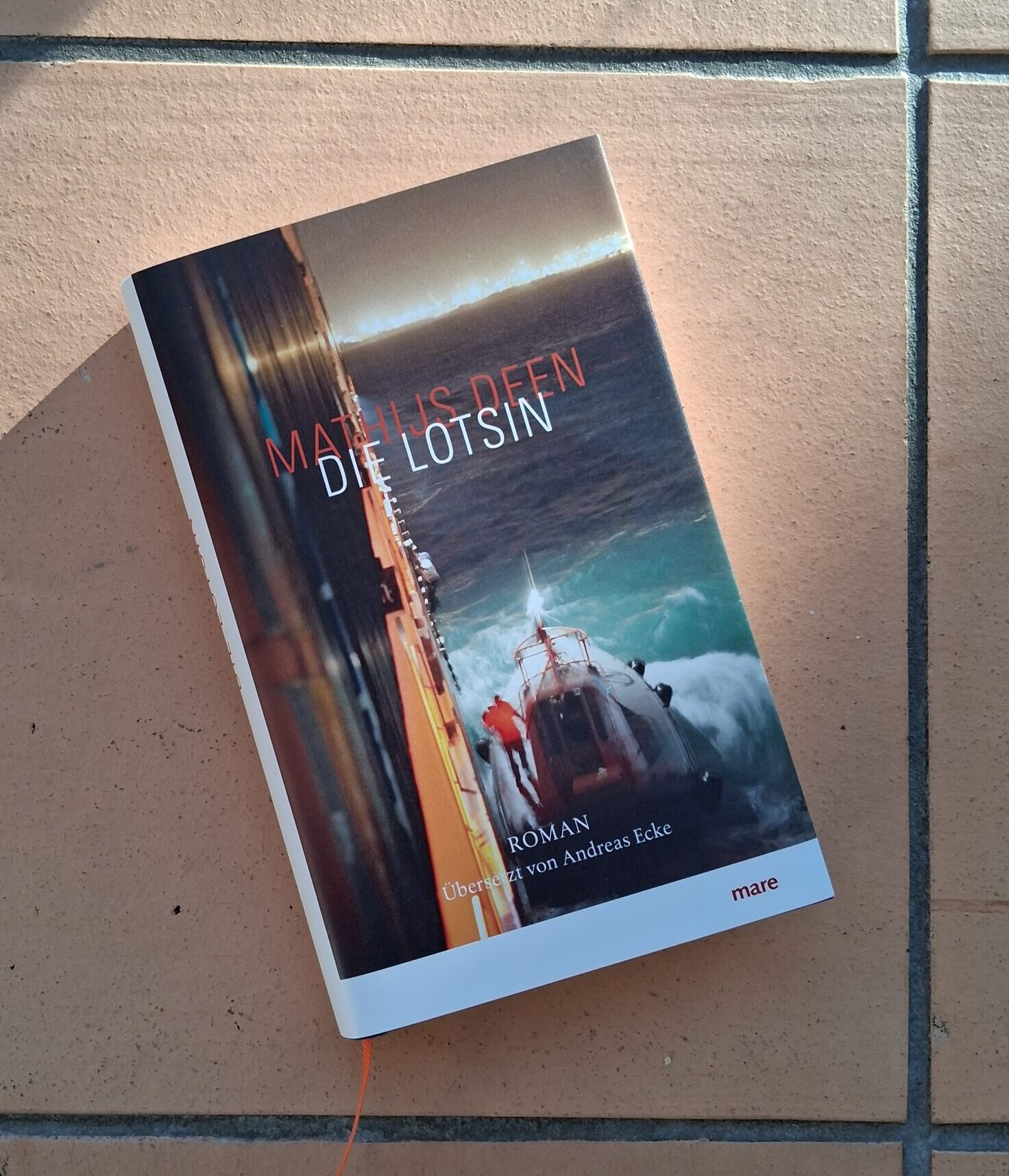 Buchcover: Die Lotsin